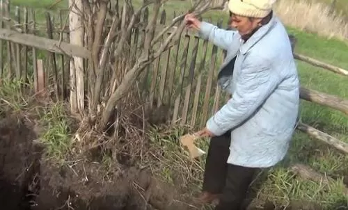 مدار الساعة,أخبار خفيفة ومنوعة