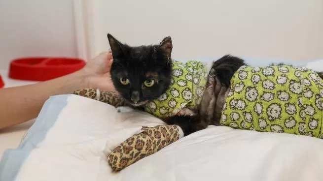 مدار الساعة,أخبار خفيفة ومنوعة