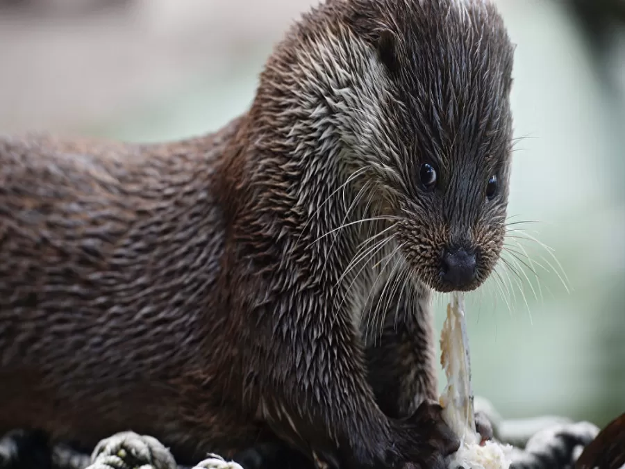 مدار الساعة,Video,فيديو,أخبار رياضية,كأس العالم