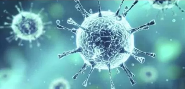 مدار الساعة,أخبار عربية ودولية,كورونا,منظمة الصحة العالمية