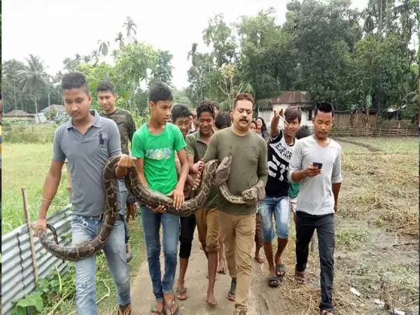 مدار الساعة,أخبار خفيفة ومنوعة