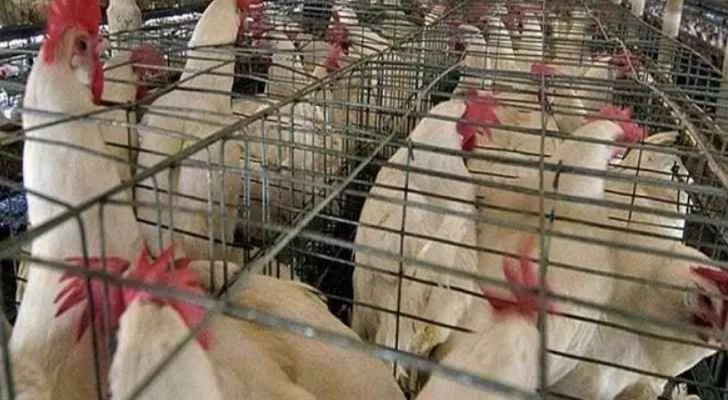 مدار الساعة,أخبار خفيفة ومنوعة