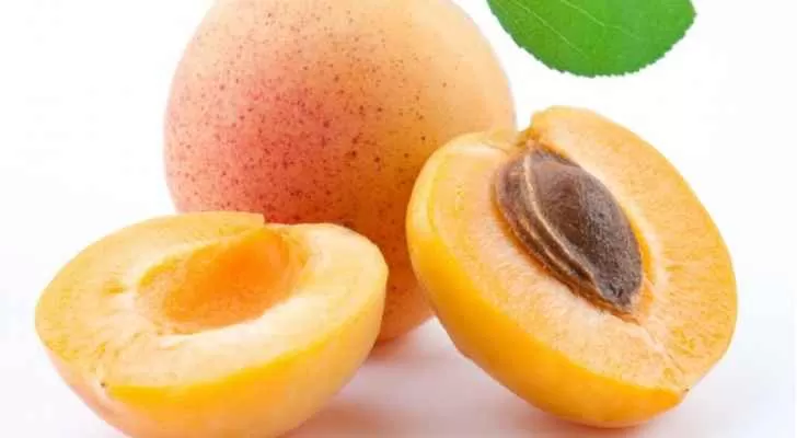 مدار الساعة,أخبار خفيفة ومنوعة