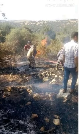 مدار الساعة,أخبار الأردن,اخبار الاردن,القصور الملكية