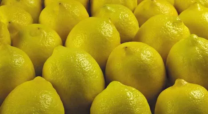 مدار الساعة,أخبار اقتصادية,أمانة عمان الكبرى