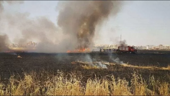 مدار الساعة,أخبار الأردن,اخبار الاردن,الدفاع المدني