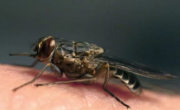 مدار الساعة,أخبار خفيفة ومنوعة