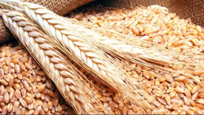 مدار الساعة,أخبار اقتصادية