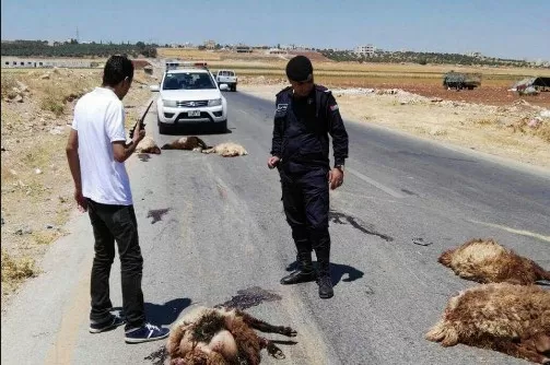 مدار الساعة,أخبار الأردن,اخبار الاردن,مستشفى الأمير زيد بن الحسين