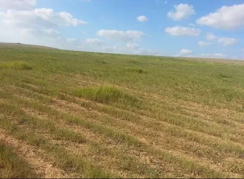 مدار الساعة,أخبار الأردن,اخبار الاردن,وزارة الزراعة