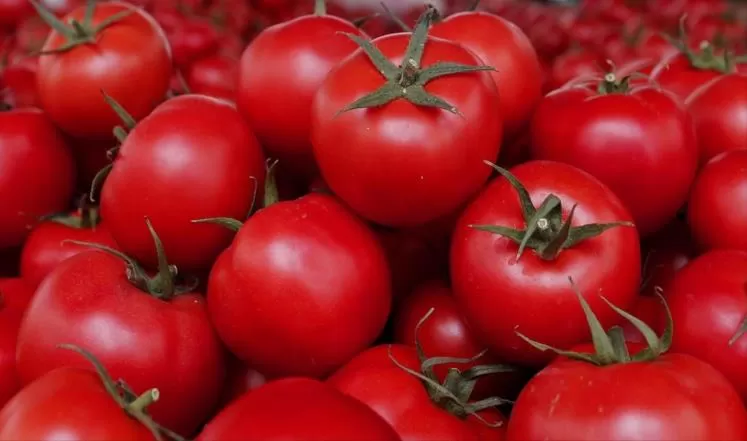 مدار الساعة,أخبار الأردن,اخبار الاردن