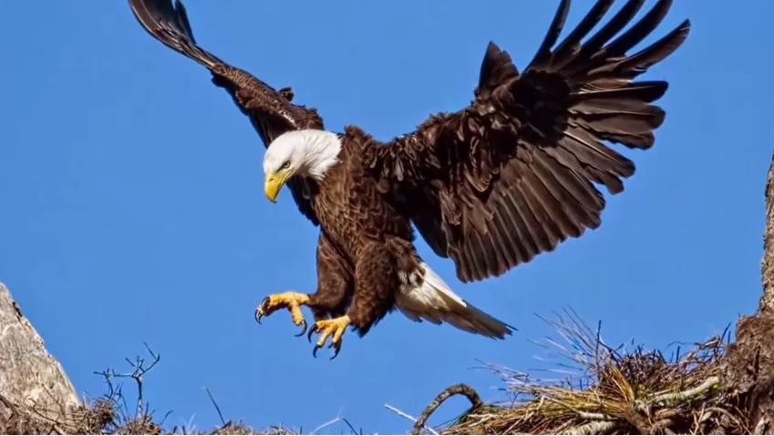 مدار الساعة,Video,فيديو,أخبار خفيفة ومنوعة