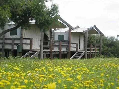 مدار الساعة,أخبار اقتصادية