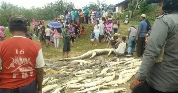 مدار الساعة,أخبار خفيفة ومنوعة