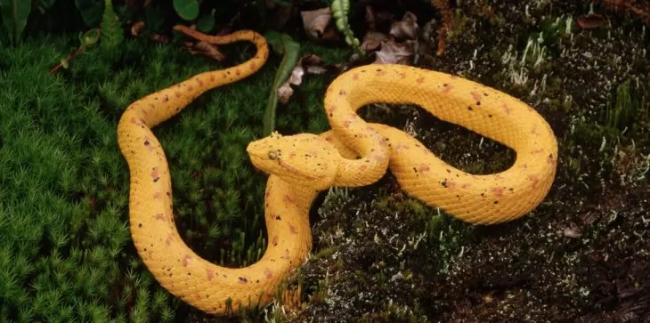 مدار الساعة,أخبار خفيفة ومنوعة