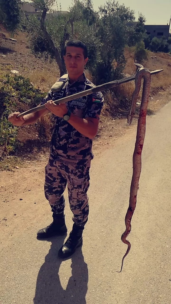 مدار الساعة,أخبار الأردن,اخبار الاردن,الدفاع المدني