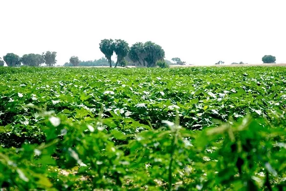 مدار الساعة,أخبار اقتصادية,مؤسسة الإقراض الزراعي,الإقراض الزراعي