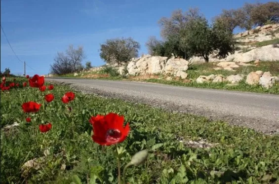 مدار الساعة,الطقس في الأردن اليوم,طقس الأردن,طقس العرب,طقس العرب الاردن,درجات الحرارة العظمى والصغرى,درجات الحرارة,البحر الميت