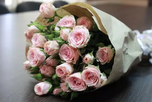 مدار الساعة,أخبار المجتمع الأردني