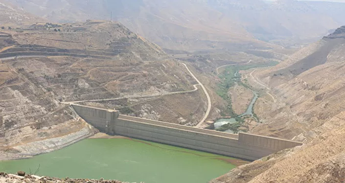 مدار الساعة,أخبار عربية ودولية,الجيش العربي