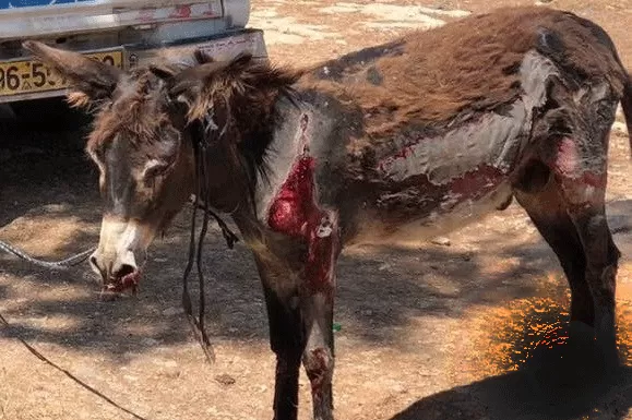 مدار الساعة,أخبار خفيفة ومنوعة