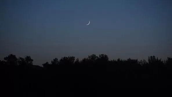 مدار الساعة,أخبار عربية ودولية,عيد الأضحى,المملكة العربية السعودية