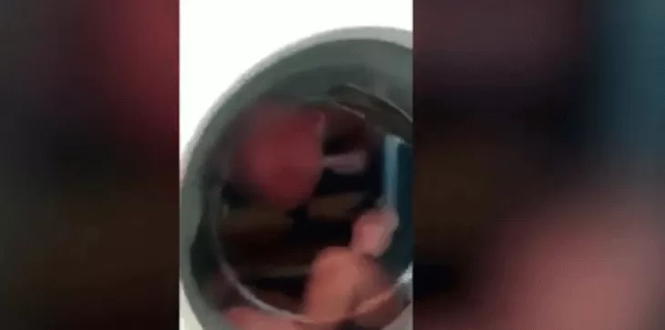 مدار الساعة,Video,فيديو,أخبار خفيفة ومنوعة