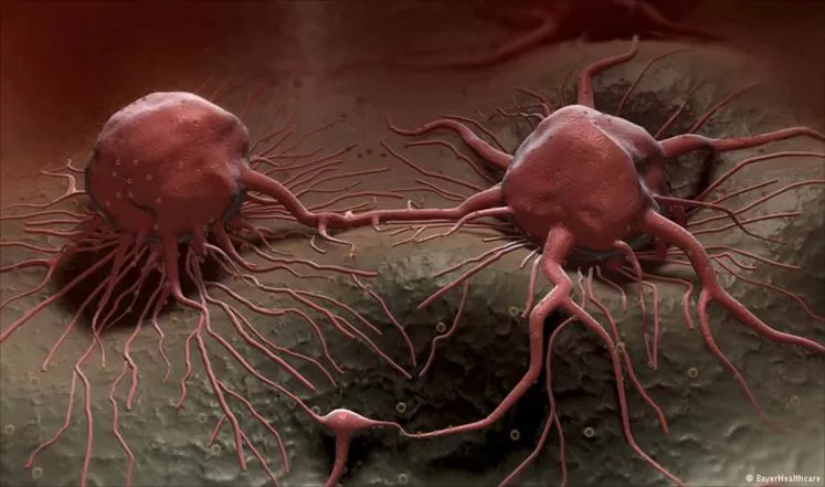 مدار الساعة,أخبار خفيفة ومنوعة