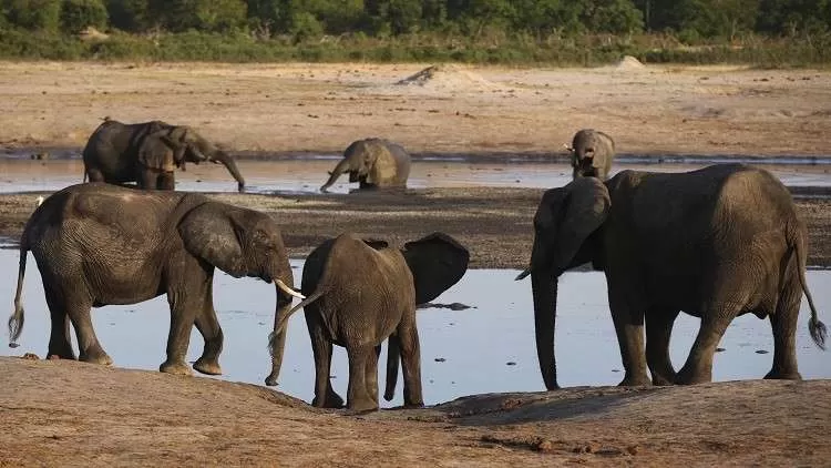 مدار الساعة,أخبار خفيفة ومنوعة