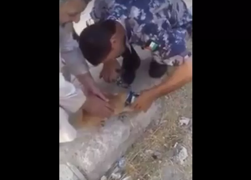 مدار الساعة,Video,فيديو,أخبار الأردن,اخبار الاردن,الدفاع المدني