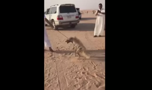 مدار الساعة,Video,فيديو,أخبار خفيفة ومنوعة