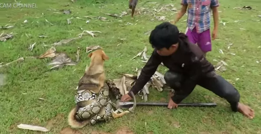 مدار الساعة,Video,فيديو,أخبار خفيفة ومنوعة