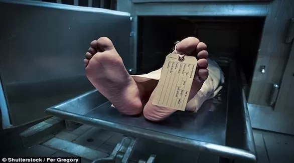 مدار الساعة,أخبار خفيفة ومنوعة