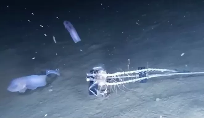 مدار الساعة,Video,فيديو,أخبار خفيفة ومنوعة,درجات الحرارة