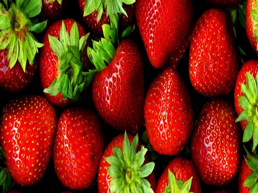 مدار الساعة,أخبار خفيفة ومنوعة,وزير الصحة