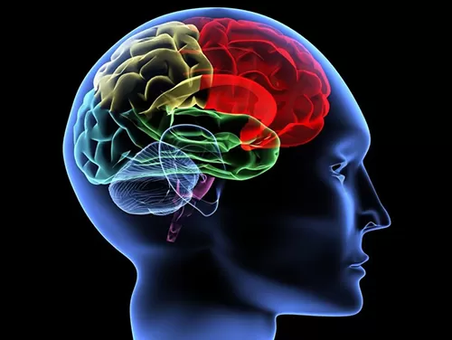 مدار الساعة,أخبار خفيفة ومنوعة