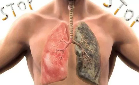 مدار الساعة,أخبار خفيفة ومنوعة