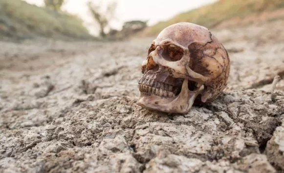 مدار الساعة,أخبار خفيفة ومنوعة,وزارة الصحة,منظمة الصحة العالمية