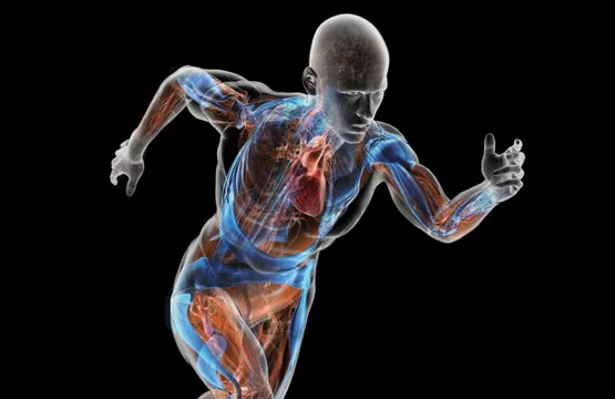 مدار الساعة,أخبار خفيفة ومنوعة