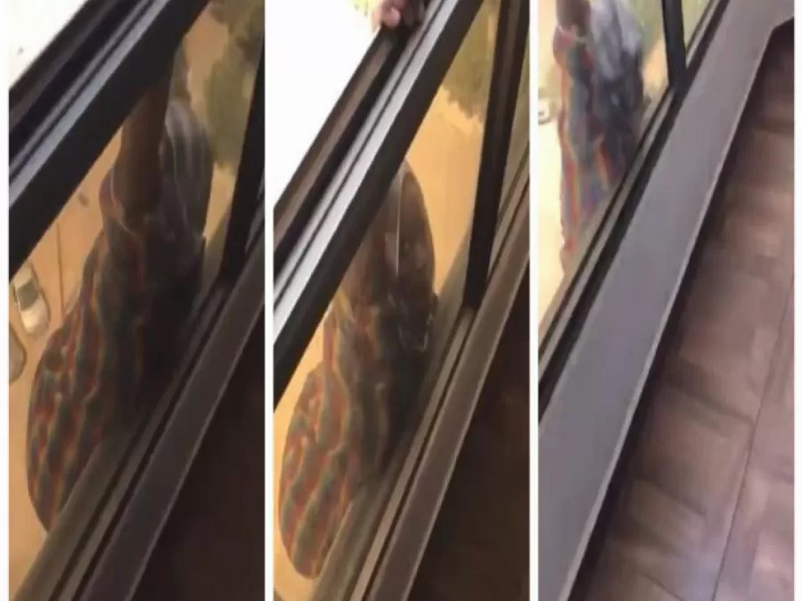 مدار الساعة,أخبار خفيفة ومنوعة