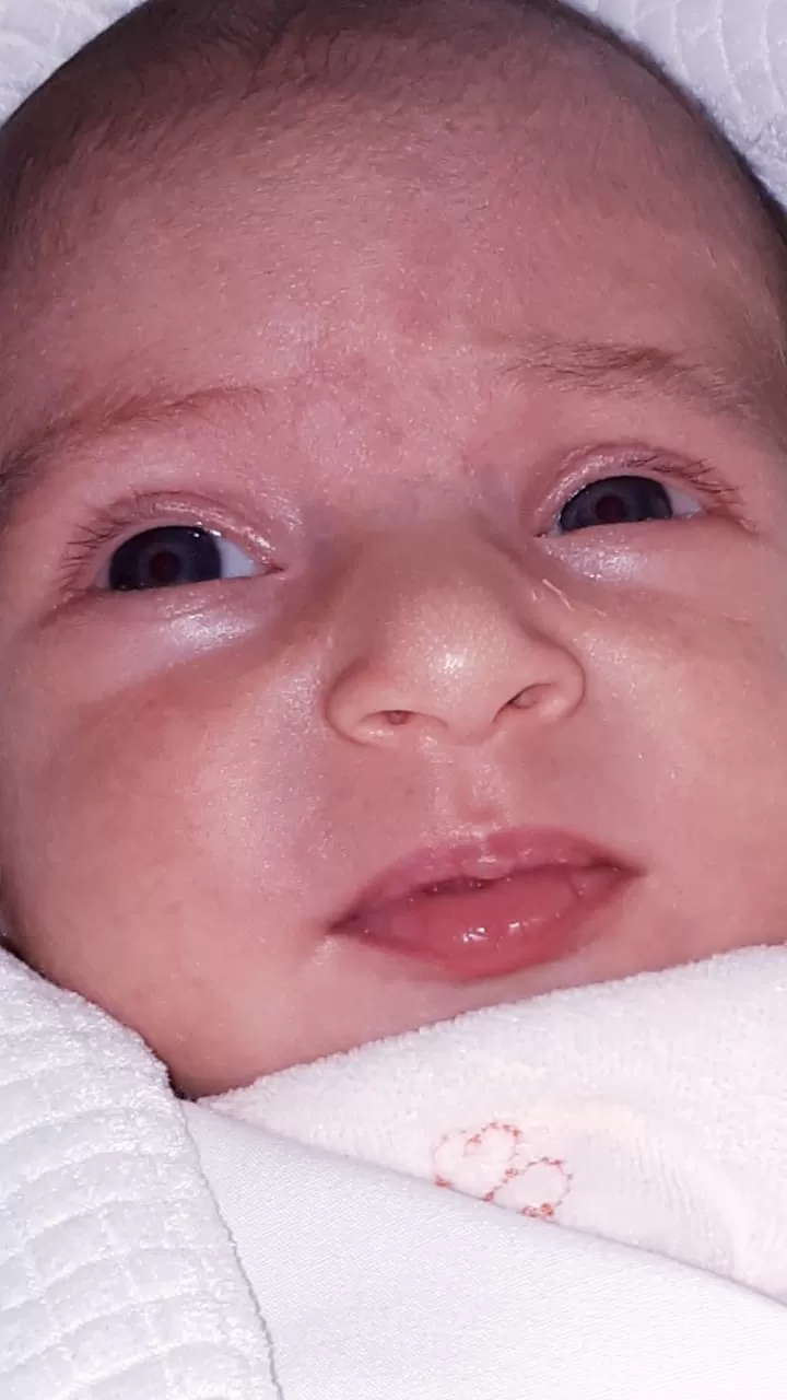 مدار الساعة,أخبار المجتمع الأردني