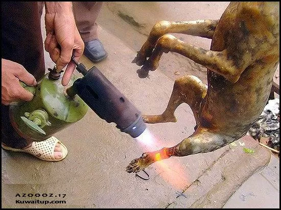 مدار الساعة,Video,فيديو,أخبار خفيفة ومنوعة