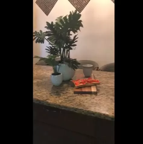 مدار الساعة,Video,فيديو,أخبار الأسرة