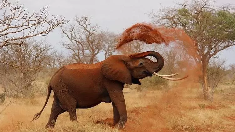 مدار الساعة,Video,فيديو,أخبار خفيفة ومنوعة