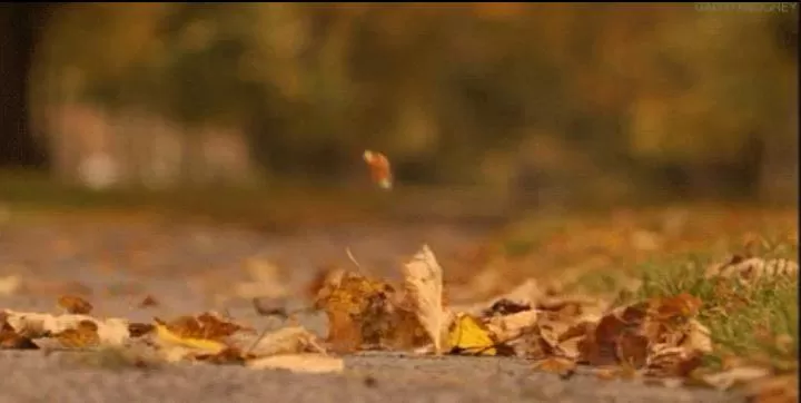 مدار الساعة,الطقس في الأردن اليوم,طقس الأردن,طقس العرب,طقس العرب الاردن,درجات الحرارة العظمى والصغرى,درجات الحرارة,البحر الميت