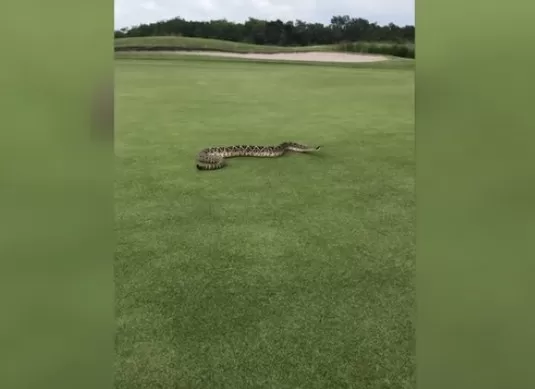 مدار الساعة,Video,فيديو,أخبار خفيفة ومنوعة