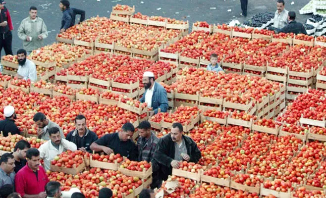 مدار الساعة,أخبار اقتصادية,أمانة عمان الكبرى