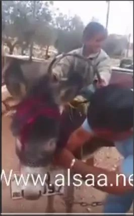 مدار الساعة,أسرار أردنية