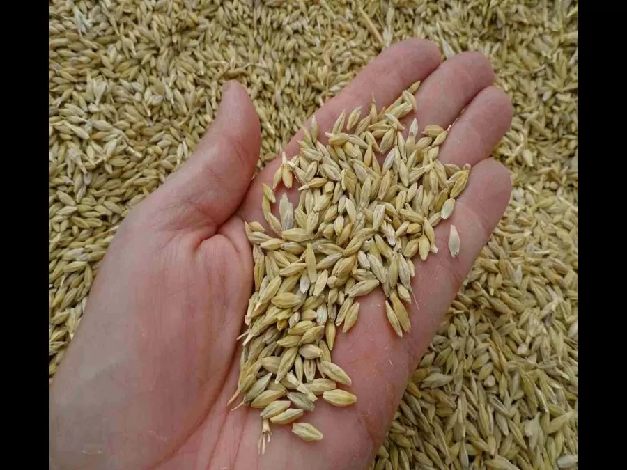 مدار الساعة,أخبار الأردن,اخبار الاردن,وزير الزراعة,وزير البيئة,مجلس النواب