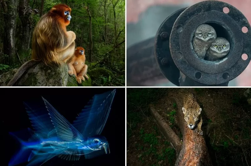 مدار الساعة,أخبار ثقافية